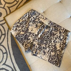 Joie Casual Shorts Size 8